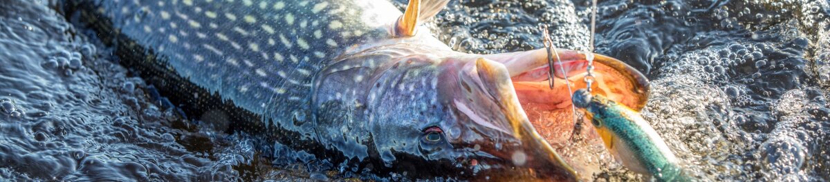 Jetzt Schn&auml;ppchen sichern und hochwertige...