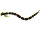 BloodTeez Worm 5,5cm 0,5g Black/Chartreuse 10pcs 