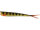 TwinTeez V-Tail 15cm 14g Striped Perch 5pcs 