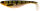 WESTIN SHADTEEZ 16CM 39G BLING PERCH 1PC