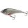 SWIM GLIDEBAIT 10CM 31G LOW FLOATING REAL ROACH