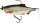 RICKY THE ROACH SHADTAIL R2F 14CM 57G SINKING REAL ROACH 1PCS