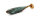 VNM 5.0 INCH C-02 12,7CM 5PCS