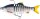 WESTIN RICKY THE ROACH MULTI JOINTED R2F 18CM 83G SINKING