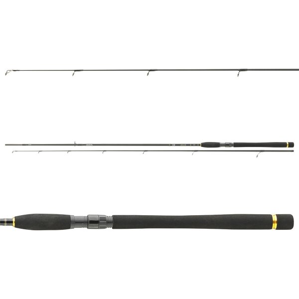 DAIWA LEGALIS SPIN FAST 2,70M 15-50G 2SEC