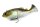MOLIX HYBRID SWIMMER 16,5CM 70G WAKASAGI