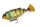 MOLIX HYBRID SWIMMER 16,5CM 70G GREEN GILL