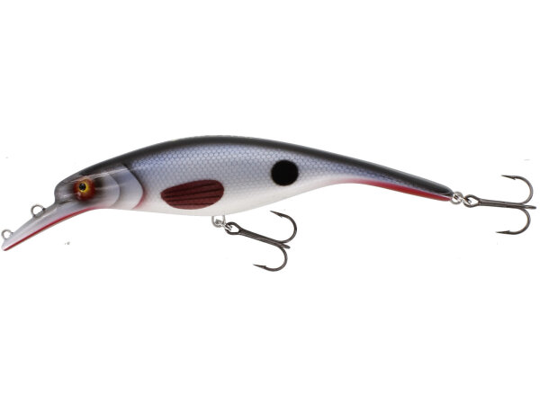WESTIN PLATYPUS CRANKBAIT 16CM 56G LOW FLOATING STAMPED ROACH