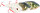 WESTIN SWIM GLIDEBAIT 12CM SUSPENDING 53G HALLOWEEN EDITION 1PCS
