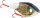 WESTIN SWIM GLIDEBAIT 12CM SUSPENDING 53G HALLOWEEN EDITION 1PCS