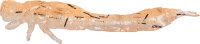 WESTIN ODONATA NED CREATUREBAIT 6.5CM 2G 4PCS