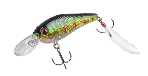 DOIYO FUAN 72 HP 10,5G FLOATING