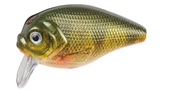 DOIYO ISHI 50 SP 5G FLOATING