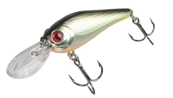 DOIYO SODO UKABU 58 GS 7G SUSPENDING