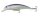 DOIYO ZATTO 59 FUKAI JERK PSH 5,8G SINKING
