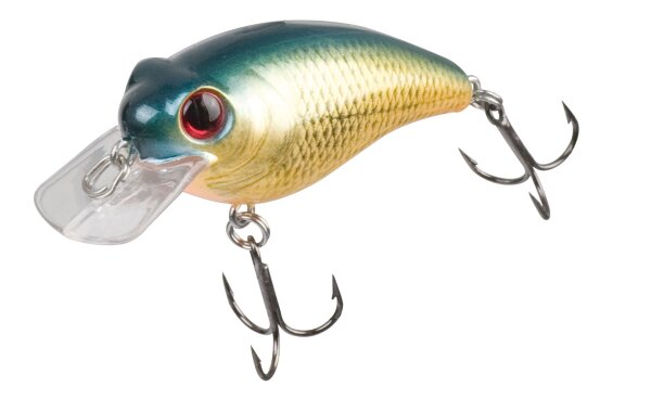 DOIYO NOMIN 60 FUKAI ST 12,5G FLOATING