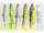 WESTIN PIKE BOX CAST & JIG