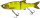 MOLIX GLIDE BAIT 178 SS 17,8CM 75G LUREBUILDERS