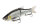 MOLIX GLIDE BAIT 178 SS 17,8CM 75G LUREBUILDERS LIVE MULLET (JACK FIN)