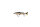 WESTIN HYPO TEEZ GLIDEBAIT 18CM 44G SUSPENDING RAINBOW TROUT