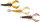 WESTIN CRECRAW SLIM R N R V2 7.5CM 5G/7G/10G CLEAR WATER MIX 22 3PCS