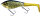 WESTIN SWIM TAIL 10CM 34G SUSPENDING 1 BODY 2 TAILS