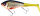WESTIN SWIM TAIL 10CM 34G SUSPENDING 1 BODY 2 TAILS