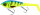 WESTIN SWIM TAIL 10CM 34G SUSPENDING 1 BODY 2 TAILS