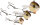 WESTIN ADD-ON-HEAD 10G #8+#8 1PC NATURAL ROACH LEAD BLACK NICKEL