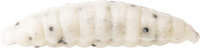 WESTIN MAGGOT 4.8CM 2.2G 8PCS BANANA FLOATING
