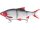 WESTIN RICKY THE ROACH INLINE 35CM 585G SINKING