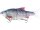 WESTIN RICKY THE ROACH INLINE 35CM 585G SINKING