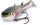 Yolo Swim Shad rainbow trout 18cm 66g